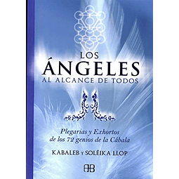 Libro Angeles Al Alcance De Todos Plegarias Y Exhortos De Lo