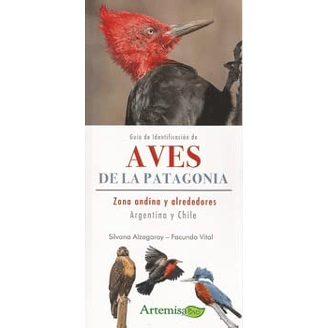 Libro Guia De Identifacion De Aves Zona Andina Bio De VVAA A