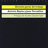Libro DERECHO PENAL DEL TRABAJO 2ª ED De ANTONIO BAYLOS GRAU
