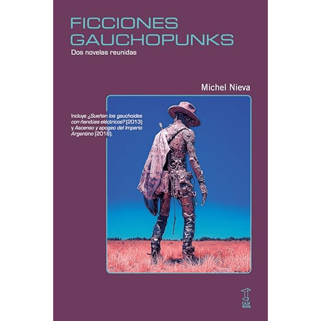 FICCIONES GAUCHOPUNKS