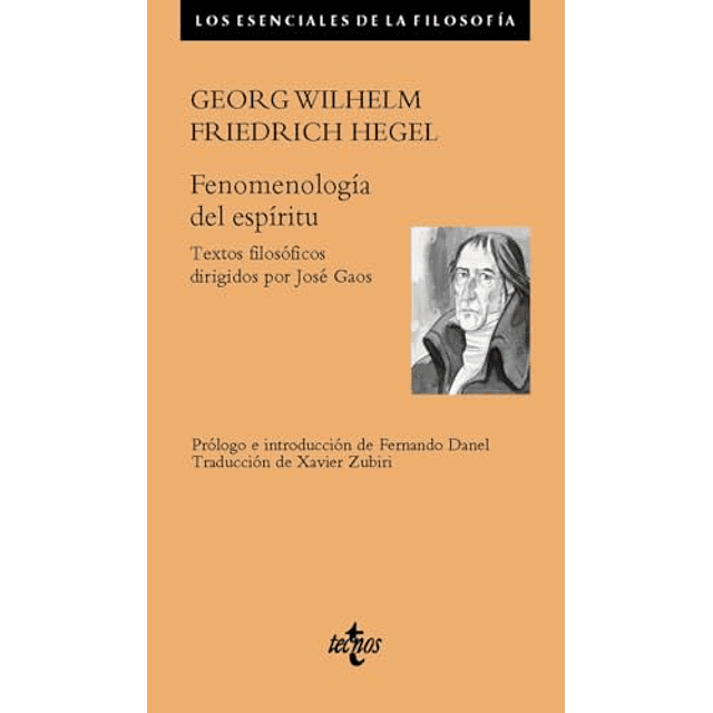 Fenomenología del espíritu