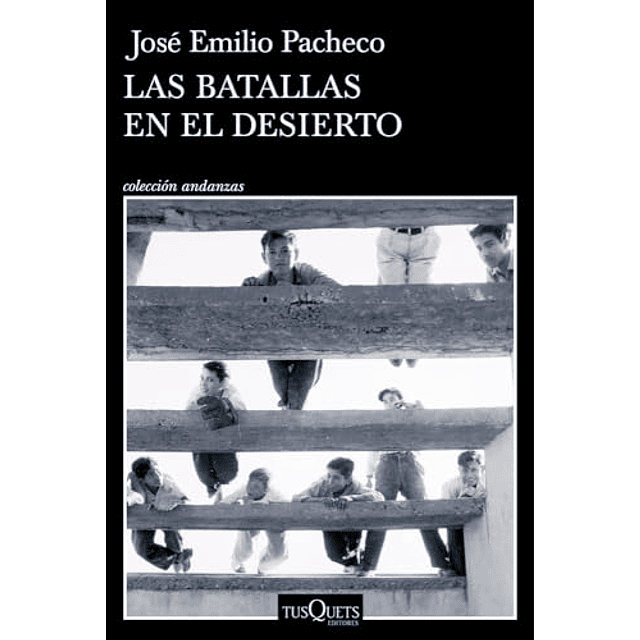 Las batallas en el desierto