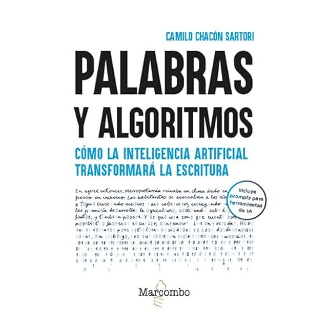 Palabras y algoritmos