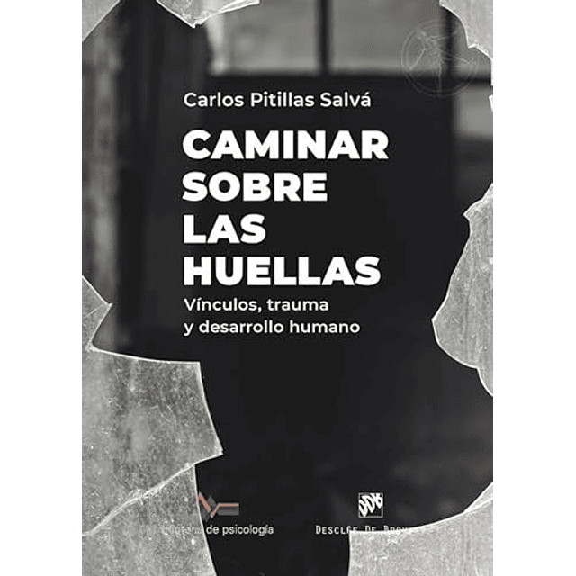 VIDEO GIRL AI No 9 LA DECLARACION