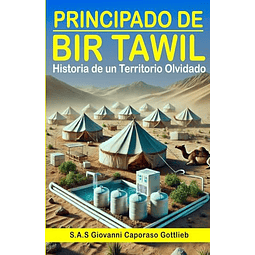 PRINCIPADO DE BIR TAWIL