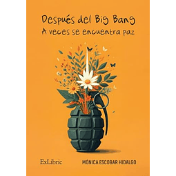 DESPUES DEL BIG BANG A VECES SE ENCUENTRA PAZ