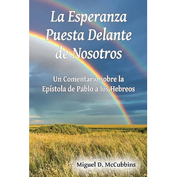 LA ESPERANZA PUESTA DELANTE DE NOSOTROS