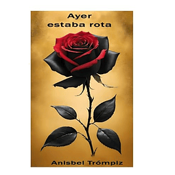 AYER ESTABA ROTA