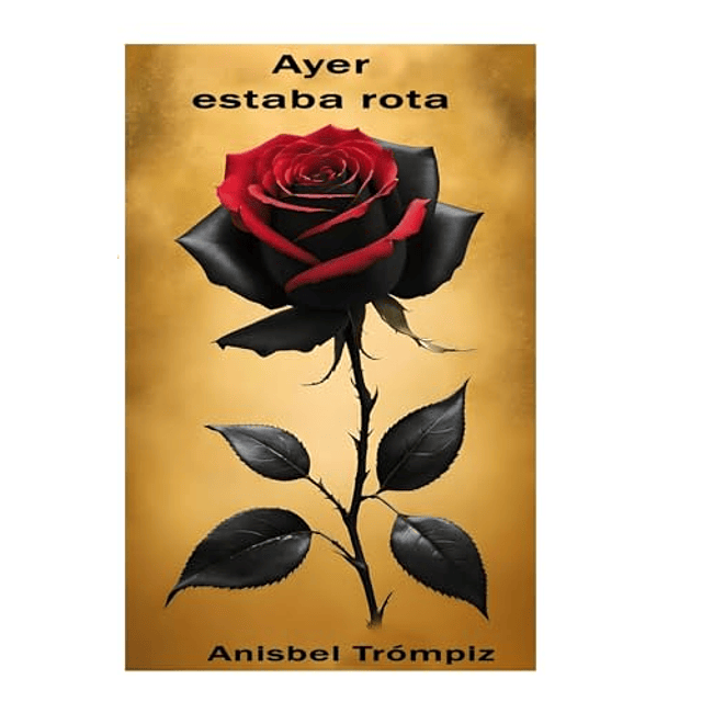 AYER ESTABA ROTA