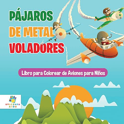 PáJAROS DE METAL VOLADORES