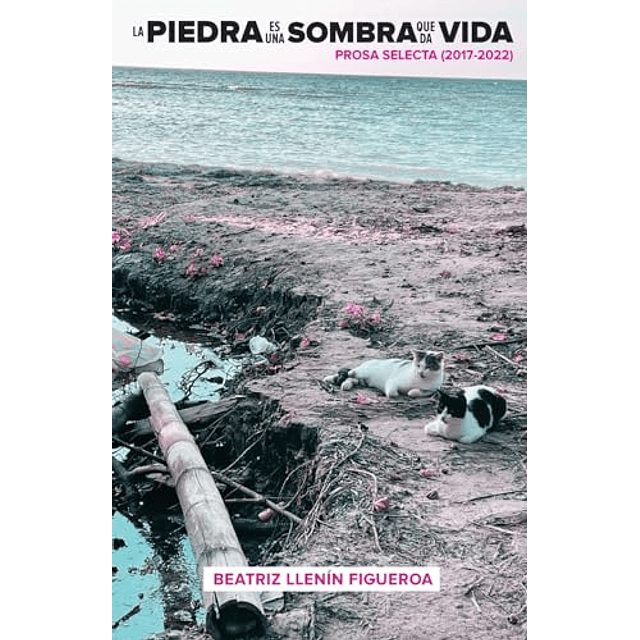 LA PIEDRA ES UNA SOMBRA QUE DA VIDA