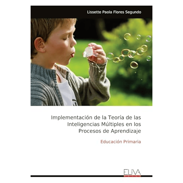 IMPLEMENTACIóN DE LA TEORÖA DE LAS INTELIGENCIAS MúLTIPLES E