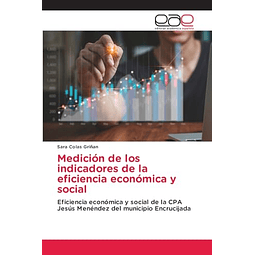 MEDICIóN DE LOS INDICADORES DE LA EFICIENCIA ECONóMICA Y SOC