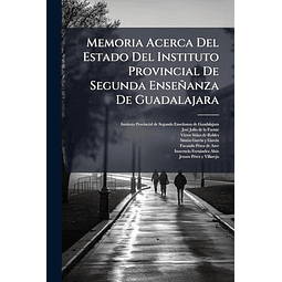 MEMORIA ACERCA DEL ESTADO DEL INSTITUTO PROVINCIAL DE SEGUND