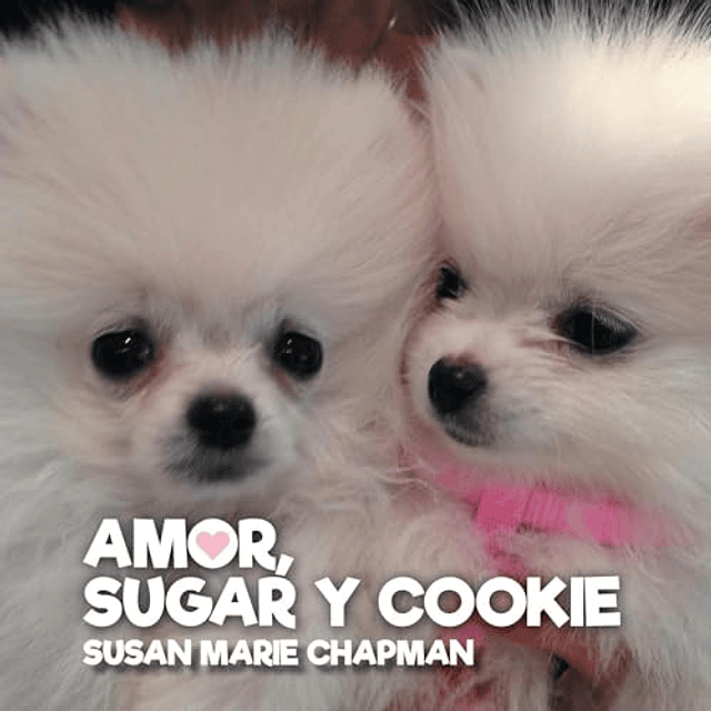 AMOR SUGAR Y COOKIE