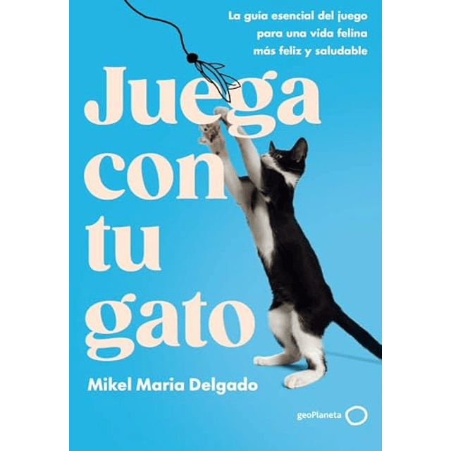 Juega con tu gato