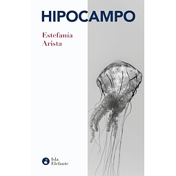 Hipocampo