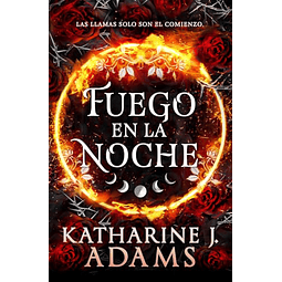 Fuego en la noche
