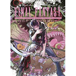 FINAL FANTASY LOST STRANGER 11