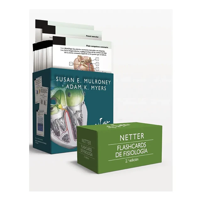 Flashcards de fisiología Netter