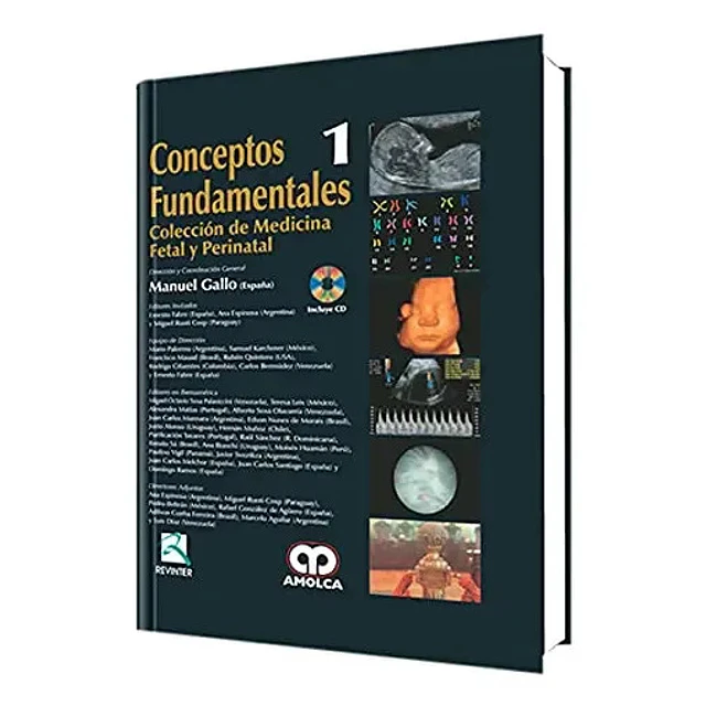 Conceptos Fundamentales