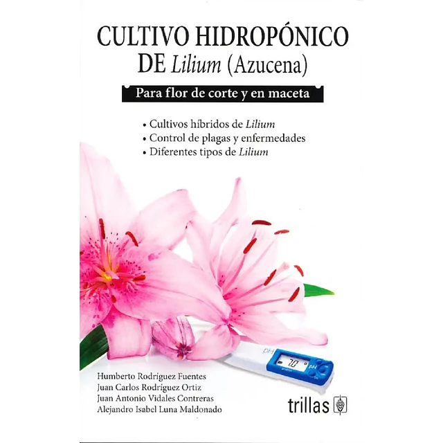 Cultivo hidropónico de Lilium (Azucena) Para flor de corte y maceta