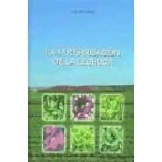 La fertirrigacion de la lechuga