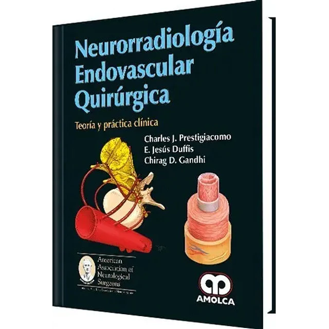 Neurorradiología endovascular quirúrgica. Teoría y práctica clínica