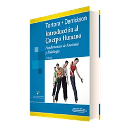 Introducción al Cuerpo Humano