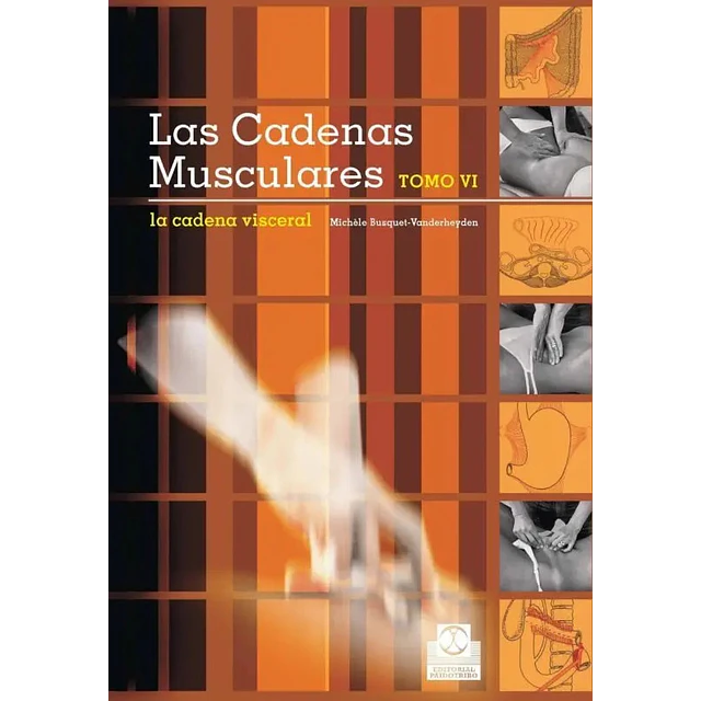Las cadenas musculares Tomo VI