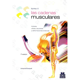 Las cadenas musculares II