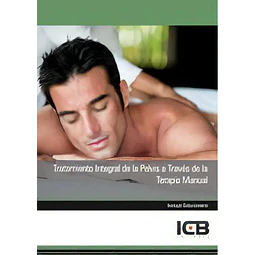 Tratamiento Integral de la Pelvis a Través de la Terapia
