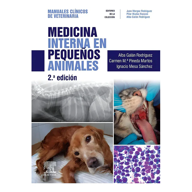 Medicina interna en pequeños animales