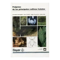 Pulgones de los principales cultivos frutales