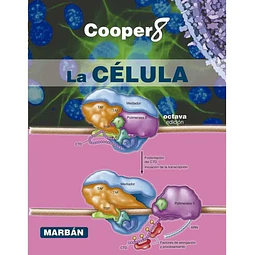 La Celula de Cooper 8