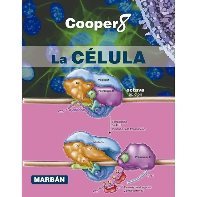 La Celula de Cooper 8