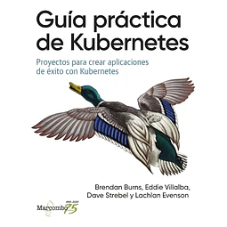 Guía práctica de Kubernetes