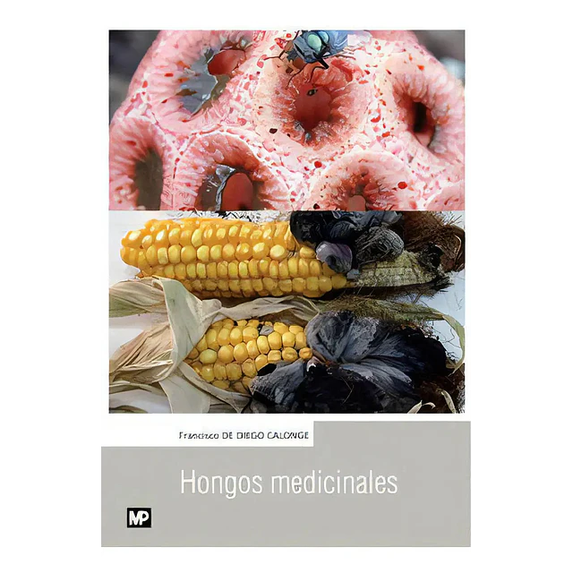 Hongos Medicinales