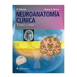 Neuroanatomía Clínica