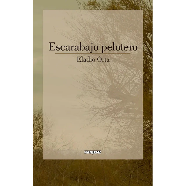 Escarabajo pelotero