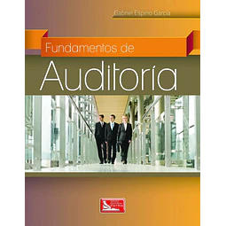 Fundamentos De Auditoria