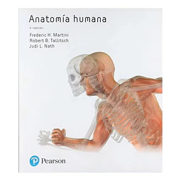 Anatomía Humana