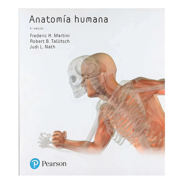 Anatomía Humana