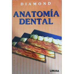 Anatomía Dental
