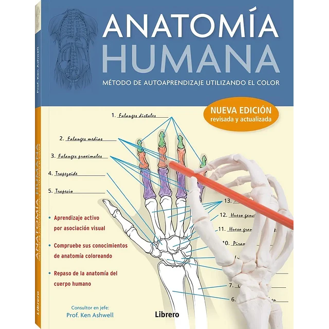 Anatomía humana. Método de autoaprendizaje utilizando el color