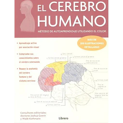 El cerebro humano. Metodo de autoaprendizaje utilizando el color