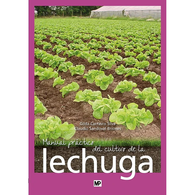 Manual Práctico del Cultivo de la Lechuga
