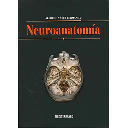 Neuroanatomía