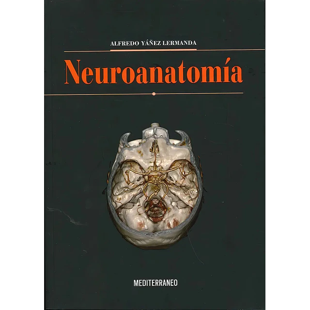 Neuroanatomía