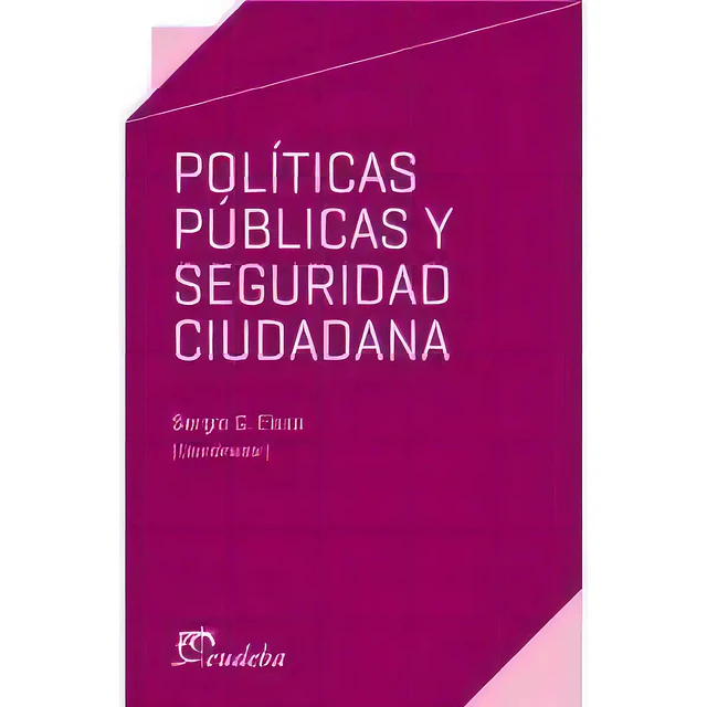 Políticas públicas y seguridad ciudadana